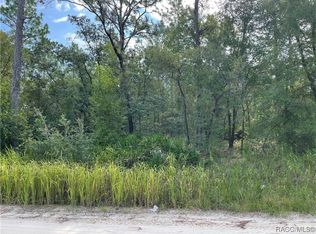 6593 N Velveteen Point, Dunnellon, FL 34433