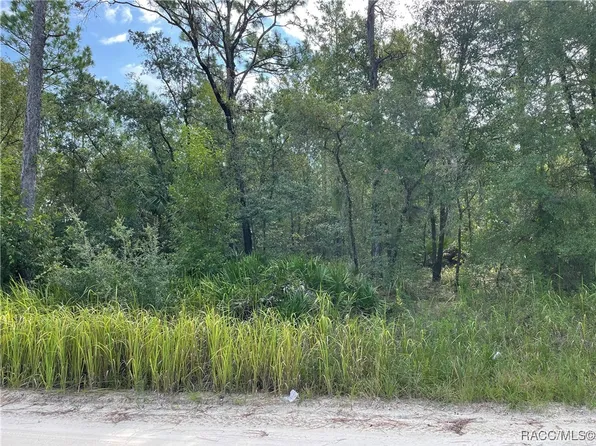 6593 N Velveteen Point, Dunnellon, FL 34433