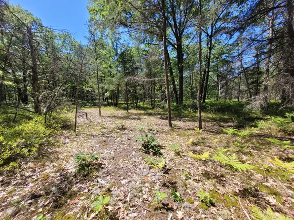 Pawnee Trl, Rogers City, MI 49779