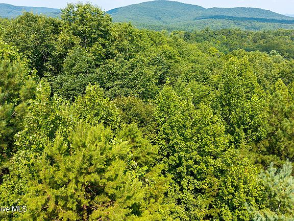 3rd image of 37 Toccoa Lane