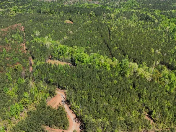 0 Lee Road 254, Salem, AL 36874