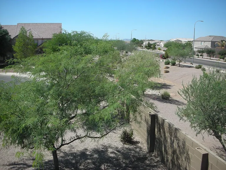 View from one of the other Kid's Rooms in the front of the house