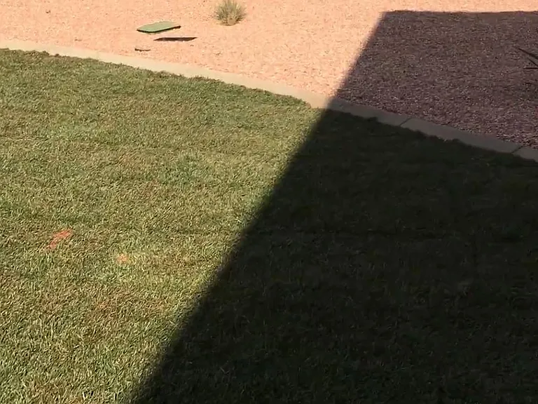 Professionally Landscaped Backyard