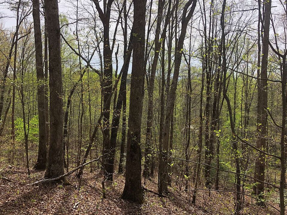 1st image of 63-64 Forest Dr #100