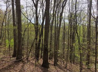 63-64 Forest Dr #100, Blairsville, GA 30512