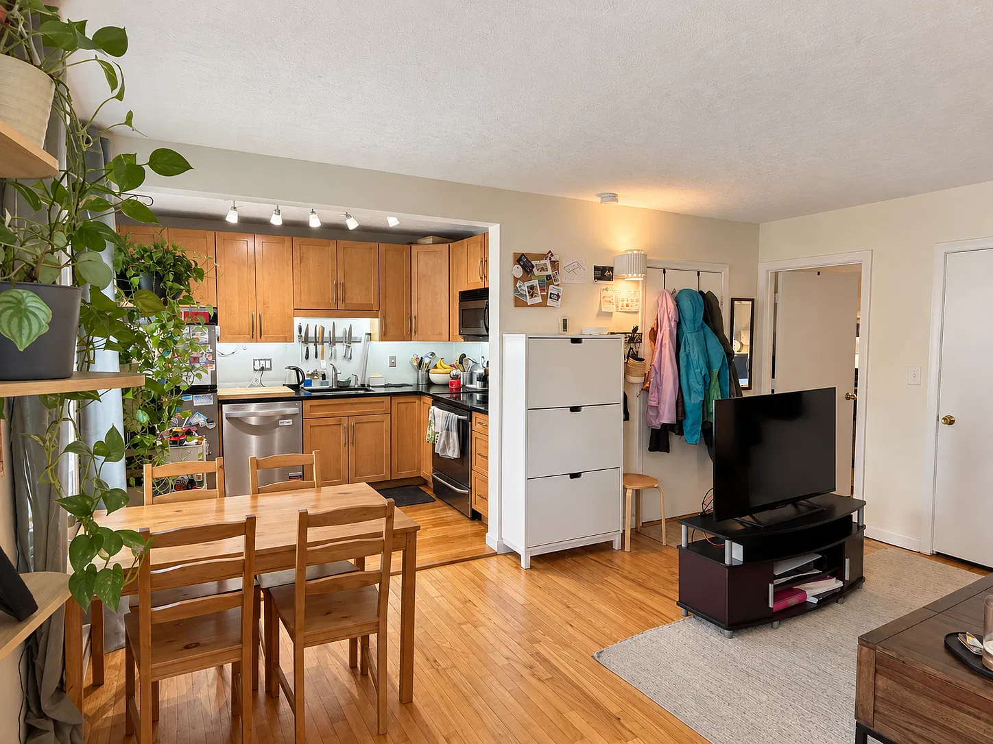 1 bed, 515 sqft, $2,600 — Photo 3