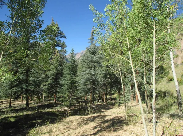 111 Alder Lane, Lake City, CO 81235