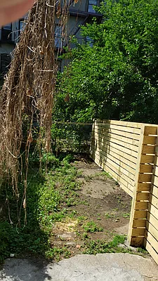 Rented by The Hamilton Group | media 10