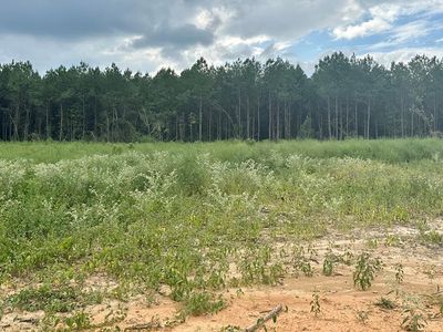 2009 Cowboy Trl SW, Bogue Chitto, MS, 39629