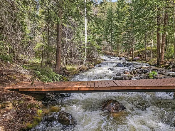 4253 Fall River Road, Idaho Springs, CO 80452