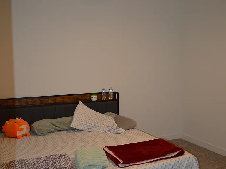 4379 Risen Star Way — Photo 38