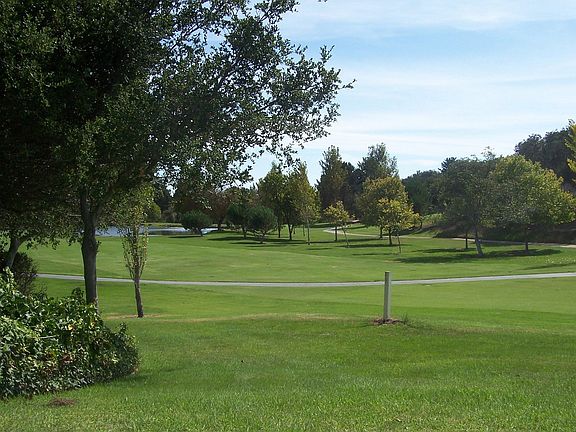 view from back patio