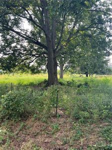 1835 Highway 495 #3, Cloutierville, LA, 71416