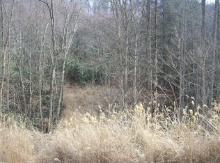 0 W Short Mtn. Rd, Sneedville, TN 37869