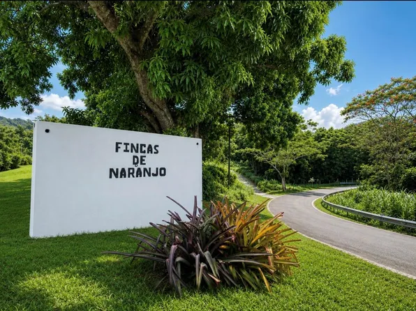 FINCAS DE NARANJO, FAJARDO, PR 00738
