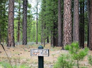 733 Redtail Loop Rd, Clio, CA 96106