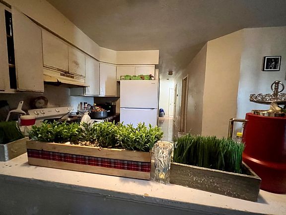 5th image of 52 South Ave APT L