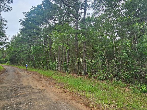 2nd image of 0 County Road 3110