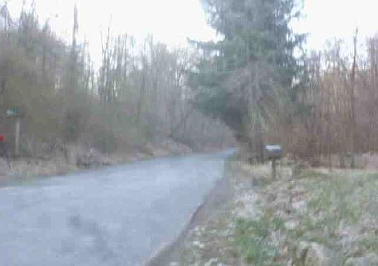 Exterior Neighborhood (street photo)