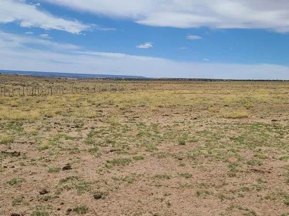 190 River Meadows Rnch, Concho, AZ 85924