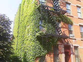 Rented by Awaye Realty Management LLC