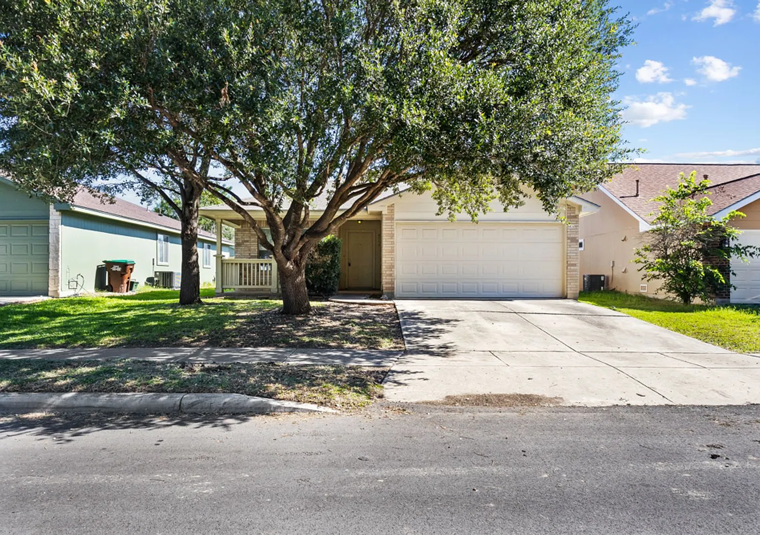 Snakeweed Dr-8519 — Photo 1
