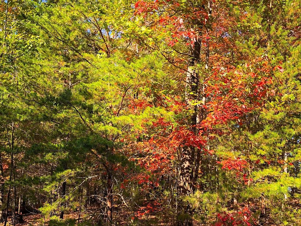 1st image of 0 Milnor Ter Lot 16