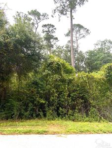1220 Chisholm Trl, Pensacola, FL, 32514