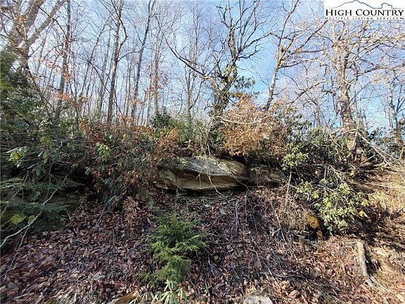 5th image of 141 Wild Daisy Ln + .96 ac tract