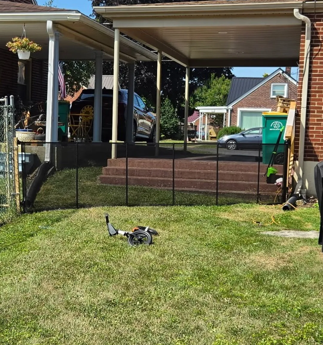 3 bed, 1000 sqft, $3,000 — Photo 3
