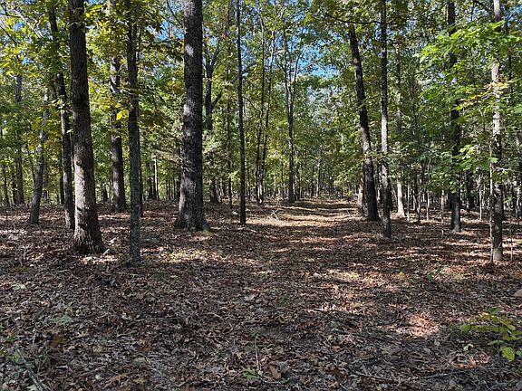 2nd image of 0 Imon Brown Rd