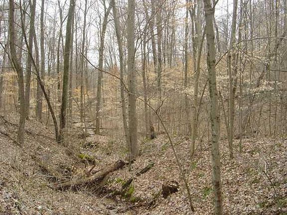 5th image of 700 S East Ct