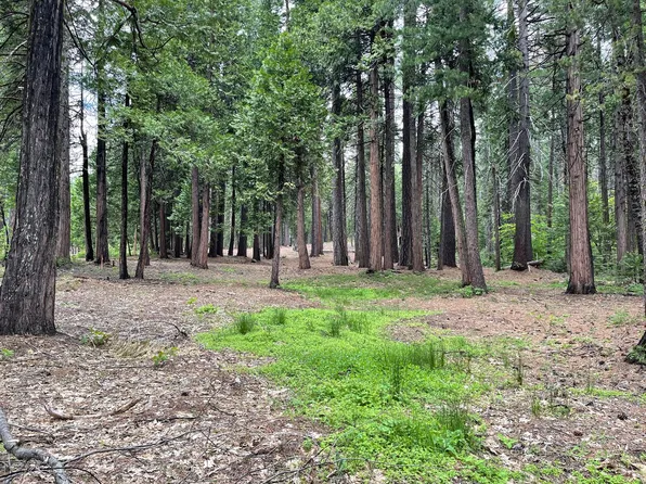 3 Sierra Pkwy, Arnold, CA 95223