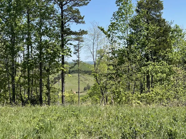 Goin Rd, Sharps Chapel, TN 37866