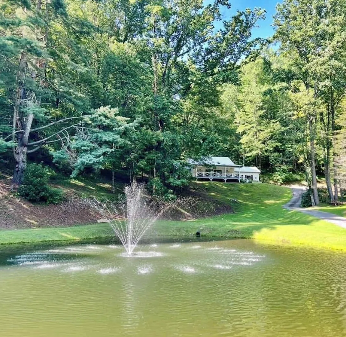 Peek And Peak Ln, Scaly Mountain — Photo 1