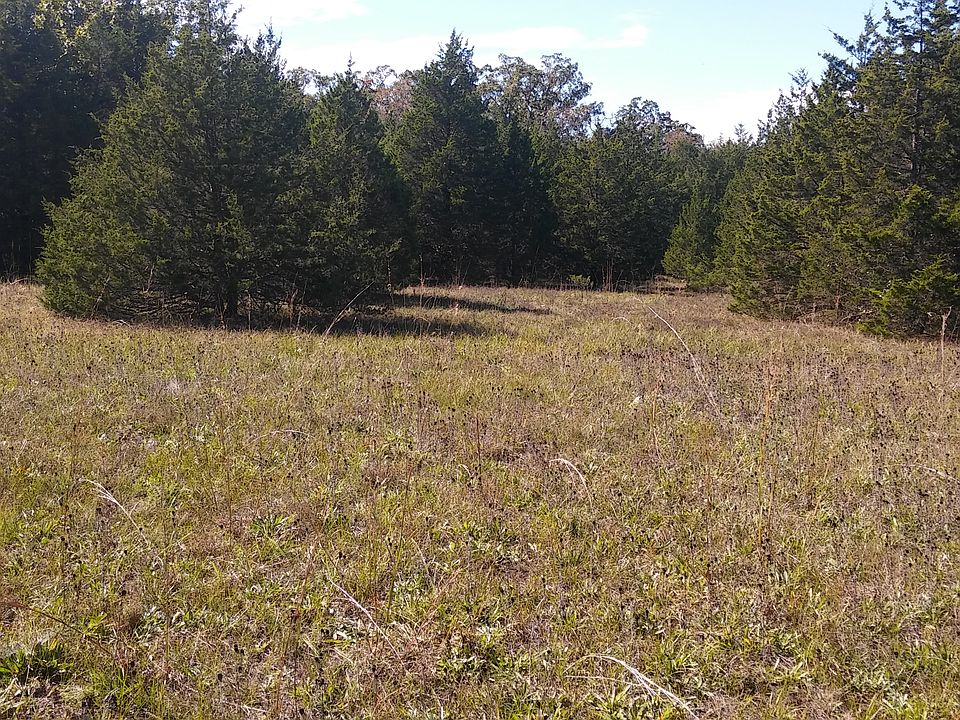 2nd image of Big Tree Trl