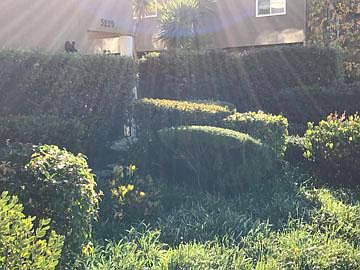 2nd image of 3229 Glendora Dr APT 8