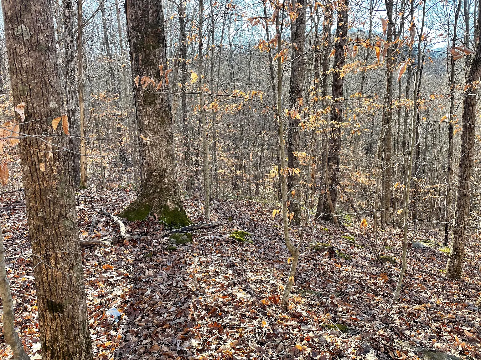 2211 Dixie Bend Rd photo 1