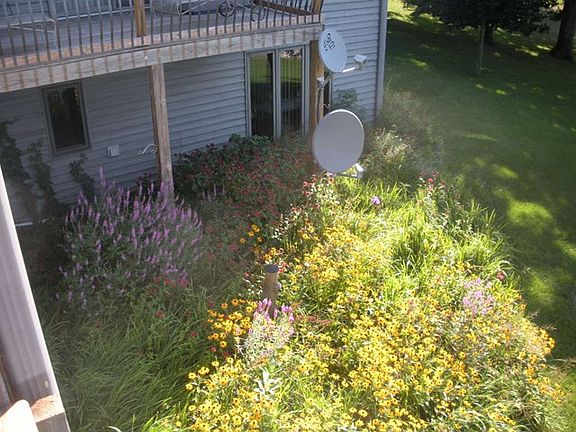 5th image of 24026 Golden Aster Dr