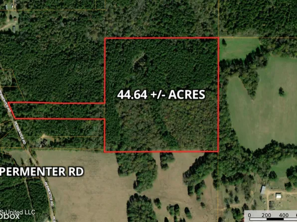 Permenter Rd, Carthage, MS 39051