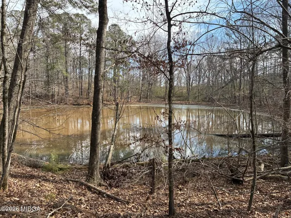 500 Askin Place Rd, Culloden, GA 31016