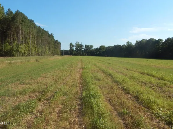 County Road 247, Bruce, MS 38915