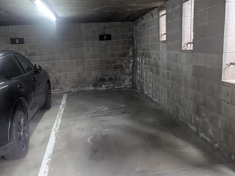 407 Orange St — Photo 22