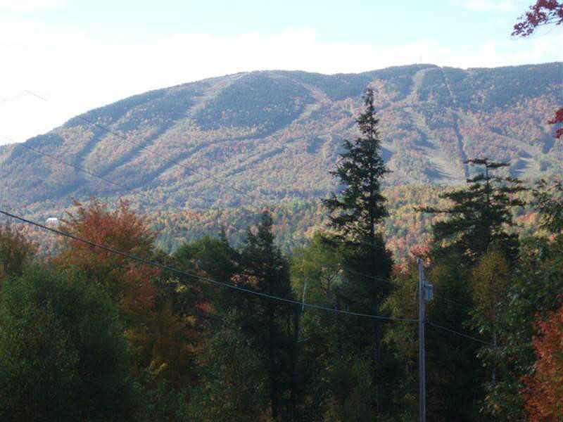 2nd image of Lot 9 Douglass Road
