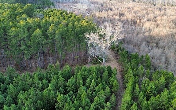 5th image of 0 Allison Landing Rd