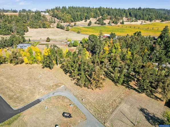 17203 S Abiqua Rd NE, Silverton, OR 97381