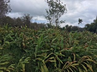 Road 3 LOT 157, Volcano, HI 96785