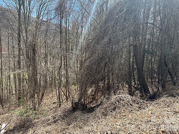 4th image of 0 Tuckaway Ridge Dr