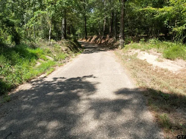 County Road 3470 SE, Winnsboro, TX 75494