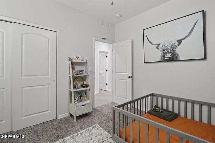 905 Cottage Pl — Photo 10